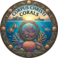 corpus christi corals modified